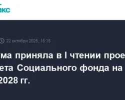 Госдума поддержала проект бюджета Социального фонда РФ на 2026-2028 годы gosduma podderzhala proekt byudzheta soczialnogo fonda rf na 20262028 gody-t-nw-ru-0