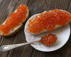 Илья Шестаков и представители Росрыболовства отметили изобилие красной рыбы ilya shestakov i predstaviteli rosrybolovstva otmetili izobilie krasnoj ryby-t-nw-ru-0