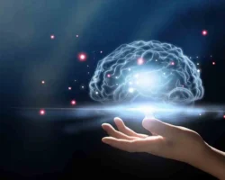 Исследования Scripps Research и Университетского колледжа Лондона раскрывают новые аспекты понимания мозга issledovaniya i universitetskogo kolledzha londona raskryvayut novye aspekty ponimaniya mozga-t-nw-ru-0