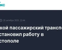 Морской транспорт Севастополя временно приостановил перевозки пассажиров morskoj transport sevastopolya vremenno priostanovil perevozki passazhirov-t-nw-ru-0