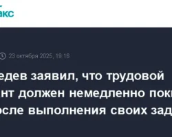 МВД возглавит обновленную стратегию трудовой миграции РФ по инициативе Медведева mvd vozglavit obnovlennuyu strategiyu trudovoj migraczii rf po inicziative medvedeva-t-nw-ru-0