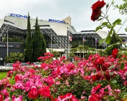 Ольга опоздала на рейс в аэропорту Сочи, заблудившись в duty free olga opozdala na rejs v aeroportu sochi zabludivshis v -t-nw-ru-0