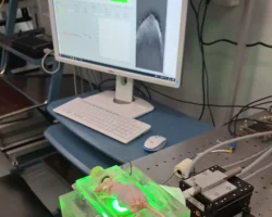 Российский научный фонд оказал поддержку противоопухолевому препарату МГУ и Института биоорганической химии rossijskij nauchnyj fond okazal podderzhku protivoopuholevomu preparatu mgu i instituta bioorganicheskoj himii-t-nw-ru-0