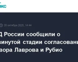 sergej lavrov i marko rubio soglasovyvayut dialog pered vstrechej putina i trampa-t-nw-ru-0
