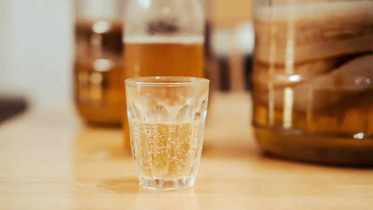 В чем опасность домашней комбучи