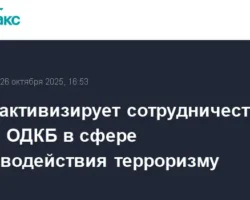ШОС укрепляет партнерство с СНГ и ОДКБ в борьбе с терроризмом при участии Пяо Янфань shos ukreplyaet partnerstvo s sng i odkb v borbe s terrorizmom pri uchastii pyao yanfan-t-nw-ru-0
