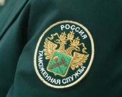 v domodedovo zaderzhany inostranczy s izumrudami i ukrasheniyami   -t-nw-ru-0