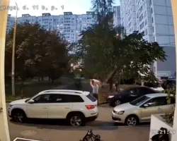 v podolske spasli sobaku ofellyu blagodarya i dare kustovskoj-t-nw-ru-0