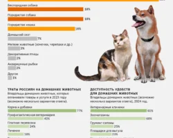 Владимир Бурматов в Госдуме поддержал котокафе как идеальный семейный тест-драйв vladimir burmatov v gosdume podderzhal kotokafe kak idealnyj semejnyj testdrajv-t-nw-ru-0