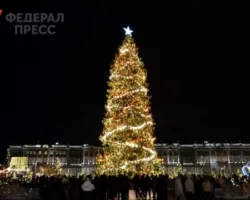 Борис Пиотровский рассказал, как украсит Дворцовую площадь ель из Копорского лесничества boris piotrovskij rasskazal kak ukrasit dvorczovuyu ploshhad el iz koporskogo lesnichestva-t-nw-ru-0