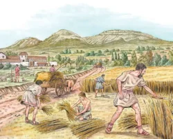 bristolskij i oklendskij universitety predstavili novyj vzglyad na istoriyu-t-nw-ru-0