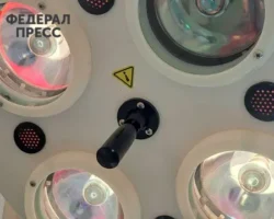 Брижит Бардо делится новостями о здоровье и своем оптимизме brizhit bardo delitsya novostyami o zdorove i svoem optimizme-t-nw-ru-0