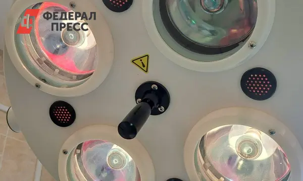 Брижит Бардо делится новостями о здоровье и своем оптимизме-0