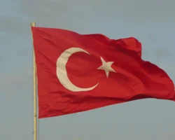 darya luchkina v stambule i mneniya mihaila ignatova o dalnejshem ishode-t-nw-ru-0