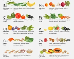 Экспертные взгляды Виктора Тутельяна и Михаила Гинзбурга на современное веганство ekspertnye vzglyady viktora tutelyana i mihaila ginzburga na sovremennoe veganstvo-t-nw-ru-0