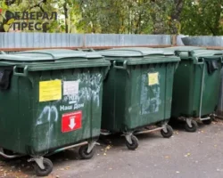 Эксперты Life.ru и 360.ru дают советы о штрафах за неправильный выброс мусора eksperty i 360 dayut sovety o shtrafah za nepravilnyj vybros musora-t-nw-ru-0