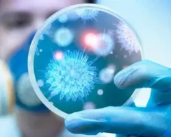 Геннадий Бочаров и ИВМ РАН делают новые шаги в понимании ВИЧ и гепатита С gennadij bocharov i ivm ran delayut novye shagi v ponimanii vich i gepatita s-t-nw-ru-0