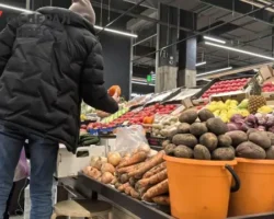 Изменения цен на продукты в Калининградской области, включая помидоры и яблоки izmeneniya czen na produkty v kaliningradskoj oblasti vklyuchaya pomidory i yabloki-t-nw-ru-0