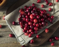 klyukva i fejhoa yavlyayutsya volshebnymi yagodami dlya zdorovya osenyu-t-nw-ru-0