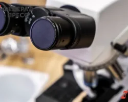 Максим Патрушев о Курчатовском геномном центре и инновациях в генетике животных maksim patrushev o kurchatovskom genomnom czentre i innovacziyah v genetike zhivotnyh-t-nw-ru-0