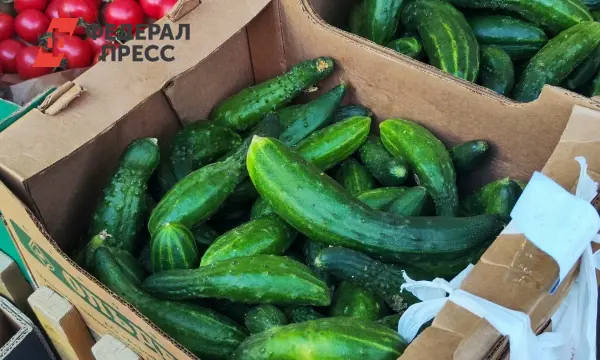 Огурцы и помидоры в Свердловской области порадуют скидками? Обзор ценового рынка!-0
