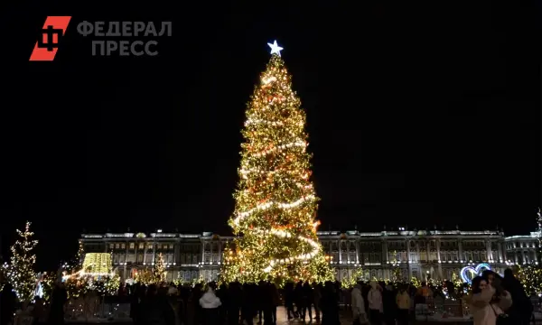 Петербург готовит Дворцовую площадь к новогодним праздникам с елкой от Бориса Пиотровского-0