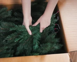 Роскачество советует, как выбрать искусственную ель к Новому году правильно roskachestvo sovetuet kak vybrat iskusstvennuyu el k novomu godu pravilno-t-nw-ru-0