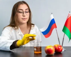 Санкт-Петербургский и Гродненский университеты разработали сорбенты для яблочного вина sanktpeterburgskij i grodnenskij universitety razrabotali sorbenty dlya yablochnogo vina-t-nw-ru-0