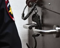 Следственный комитет России пресёк действия педофила-язычника в интернете среди школьниц sledstvennyj komitet rossii presyok dejstviya pedofilayazychnika v internete sredi shkolnicz-t-nw-ru-0