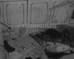 Суд Москвы рассмотрит дело иностранца об убийстве в Уваровском переулке sud moskvy rassmotrit delo inostrancza ob ubijstve v uvarovskom pereulke-t-nw-ru-0