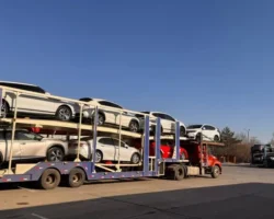 Уссурийская таможня и Владивосток оформляют рекордное число иномарок ussurijskaya tamozhnya i vladivostok oformlyayut rekordnoe chislo inomarok-t-nw-ru-0