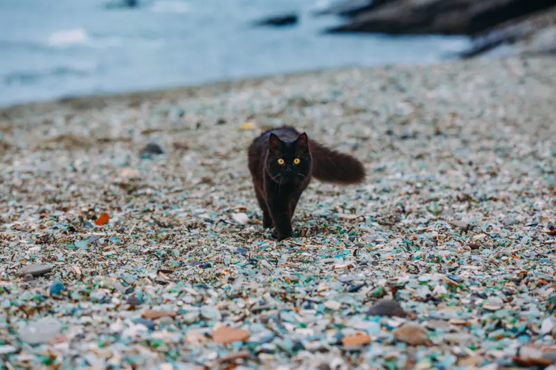 Куда рвануть пока цены не взлетели: бюджетные направления до конца 2025 года Мария Смитюк, ИА PrimaMedia