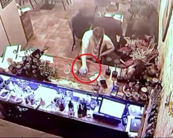 В московском кафе бармен обнаружил радостную находку и помощника v moskovskom kafe barmen obnaruzhil radostnuyu nahodku i pomoshhnika-t-nw-ru-0