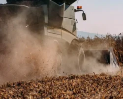 В Приморье развивается агропарк МТОР с участием Мантурова и Алтабаева v primore razvivaetsya agropark mtor s uchastiem manturova i altabaeva-t-nw-ru-0