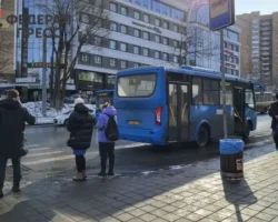 Владивосток меняет перевозчика для автобусного маршрута №81 vladivostok menyaet perevozchika dlya avtobusnogo marshruta 81-t-nw-ru-0