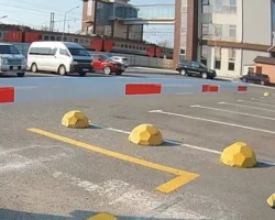 Владивосток рассматривает правила парковки и проект Центра организации дорожного движения Lexus vladivostok rassmatrivaet pravila parkovki i proekt czentra organizaczii dorozhnogo dvizheniya -t-nw-ru-0