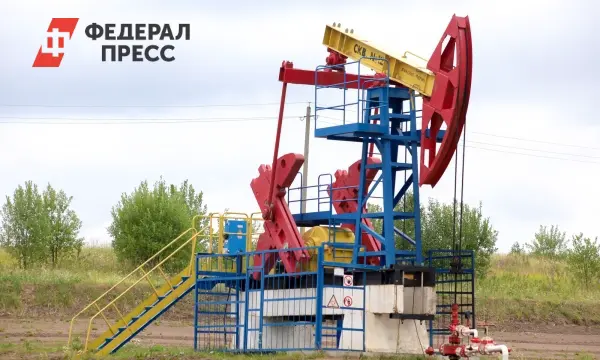 Возрождение Лукойла вызывает беспокойство у Михайловой из-за ЕС и Болгарии-0