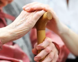 Екатеринбургская пенсионерка и полицейские спасли миллионы от мошенников ekaterinburgskaya pensionerka i policzejskie spasli milliony ot moshennikov-t-nw-ru-0