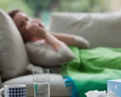 elena meskina obyasnila chto myshinaya lihoradka pohozha na gripp-t-nw-ru-0