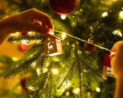 Фёдор Васильев призывает праздновать Новый год с безопасностью и радостью fyodor vasilev prizyvaet prazdnovat novyj god s bezopasnostyu i radostyu-t-nw-ru-0