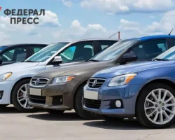 Генпрокуратура России остановила мошенническую схему брокера в Владивостоке и Москве genprokuratura rossii ostanovila moshennicheskuyu shemu brokera v vladivostoke i moskve-t-nw-ru-0