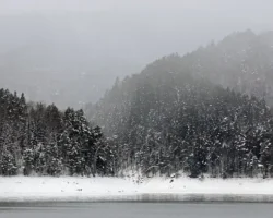 gruppa dyatlova gennadij kabanov i tajna ischeznoveniya usolczevyh v kuturchinskom belogore-t-nw-ru-0