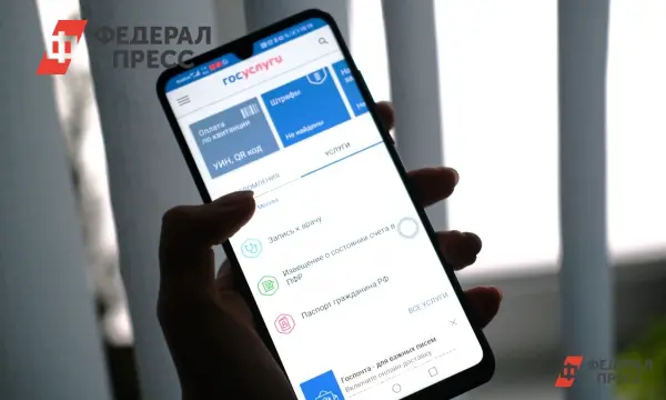 Министерство цифрового развития предлагает быструю разблокировку Госуслуг через MAX-0