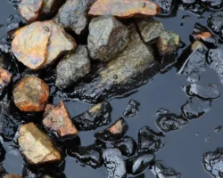 Открыт реагент СН-1 Губкинского университета для нефтяных плёнок в тропиках! otkryt reagent sn1 gubkinskogo universiteta dlya neftyanyh plyonok v tropikah-t-nw-ru-0