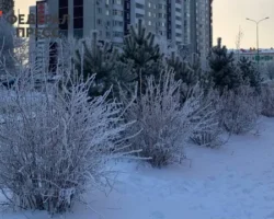 Пермский край готовится к морозам, прогнозируя резкое похолодание permskij kraj gotovitsya k morozam prognoziruya rezkoe poholodanie-t-nw-ru-0