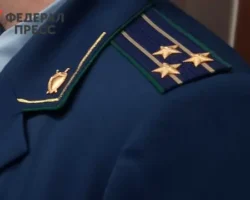 Прокуратура Рязанской области помогла пенсионеру вернуть деньги, похищенные мошенниками prokuratura ryazanskoj oblasti pomogla pensioneru vernut dengi pohishhennye moshennikami-t-nw-ru-0