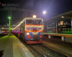 Родители делятся впечатлениями о давке на встрече Поезда Деда Мороза в Ишиме roditeli delyatsya vpechatleniyami o davke na vstreche poezda deda moroza v ishime-t-nw-ru-0