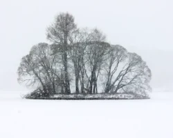 Снежная буря на Камчатке и действия региона по преодолению непогоды snezhnaya burya na kamchatke i dejstviya regiona po preodoleniyu nepogody-t-nw-ru-0