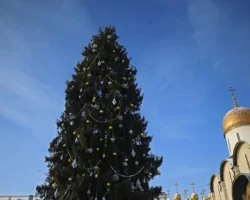 torzhestvennaya vstrecha glavnogo simvola prazdnika v kremle ot putina-t-nw-ru-0