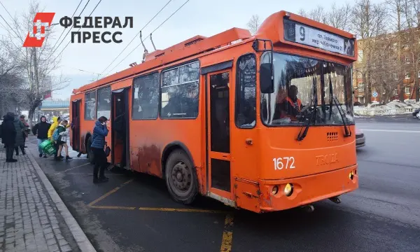 В Рязани Telegram-мошенники создали фейковый аккаунт директора троллейбусного парка-0